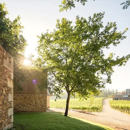 Monverde - Wine Experience - By Unlock