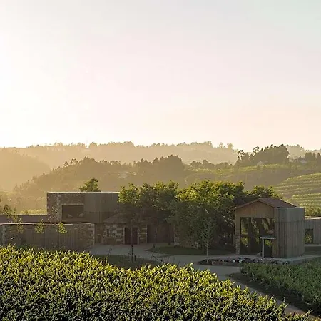 Monverde - Wine Experience - By Unlock Amarante