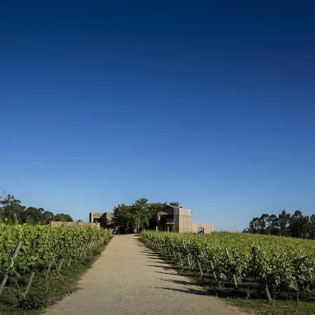 Monverde - Wine Experience - By Unlock 4*
