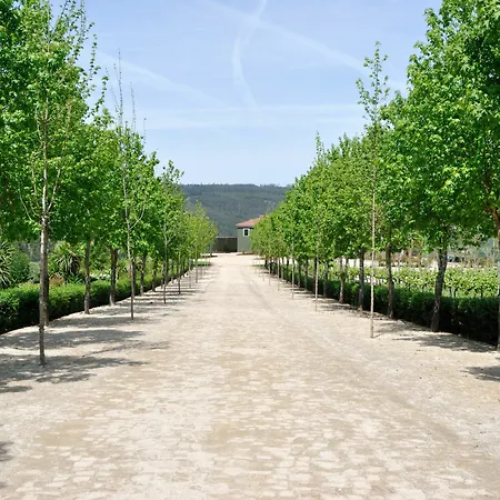 Monverde - Wine Experience - By Unlock 4* Amarante