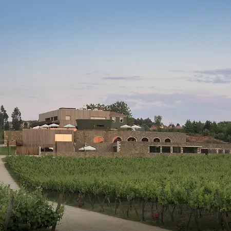 Hotel Monverde - Wine Experience - By Unlock Amarante