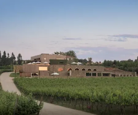 Hotel Monverde - Wine Experience - By Unlock Amarante