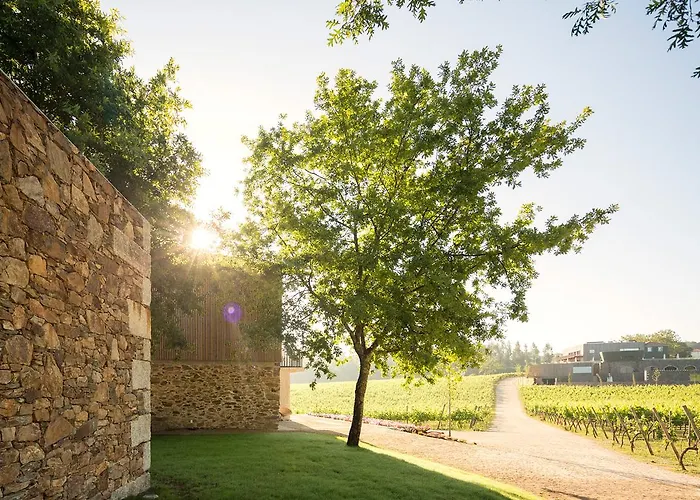 Monverde - Wine Experience - By Unlock