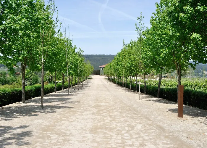 Monverde - Wine Experience - By Unlock 4* Амаранте